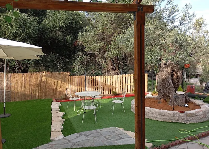 Olive Tree 펜션