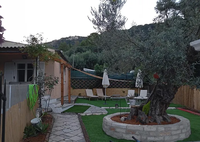 Olive Tree 펜션 *