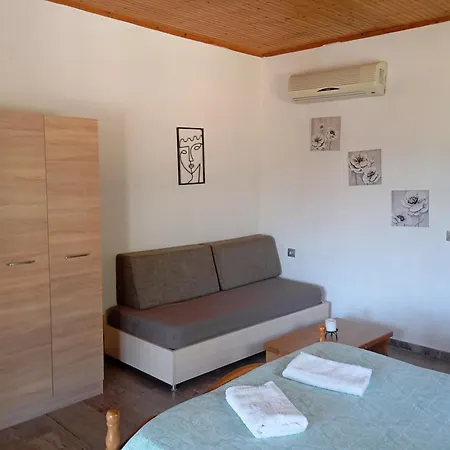 Olive Tree * Palaiokastritsa