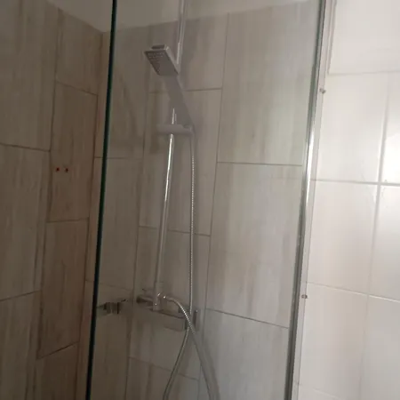 Olive Tree Paleokastritsa