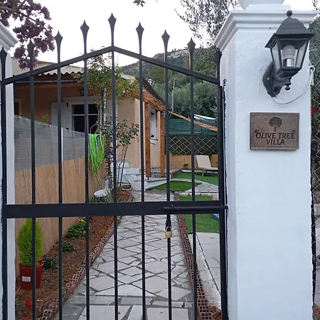 Tatil Evi Olive Tree