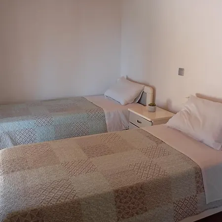 Olive Tree 팔레오카스트리차