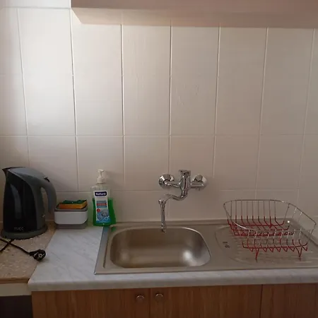 Olive Tree * 팔레오카스트리차