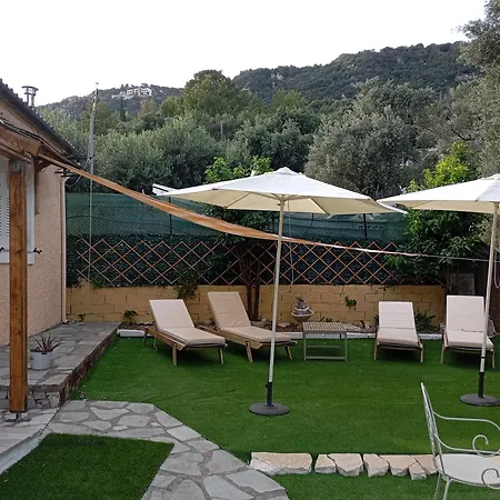 Olive Tree Ferienhaus