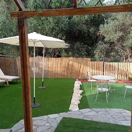 Olive Tree 팔레오카스트리차