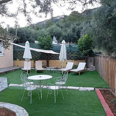 Olive Tree * 팔레오카스트리차