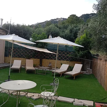 Olive Tree Ferienhaus *