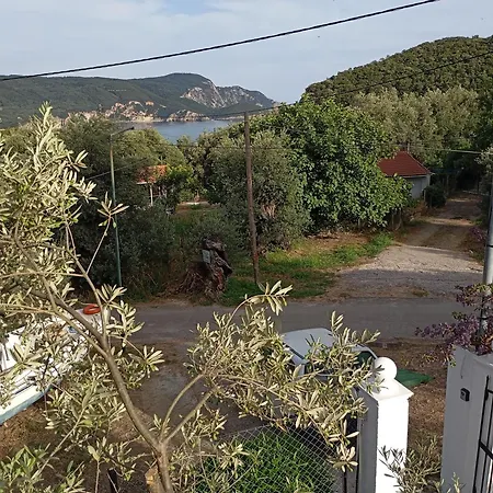 Olive Tree 펜션 팔레오카스트리차